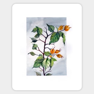 Yellow bougainvillea tree Sticker